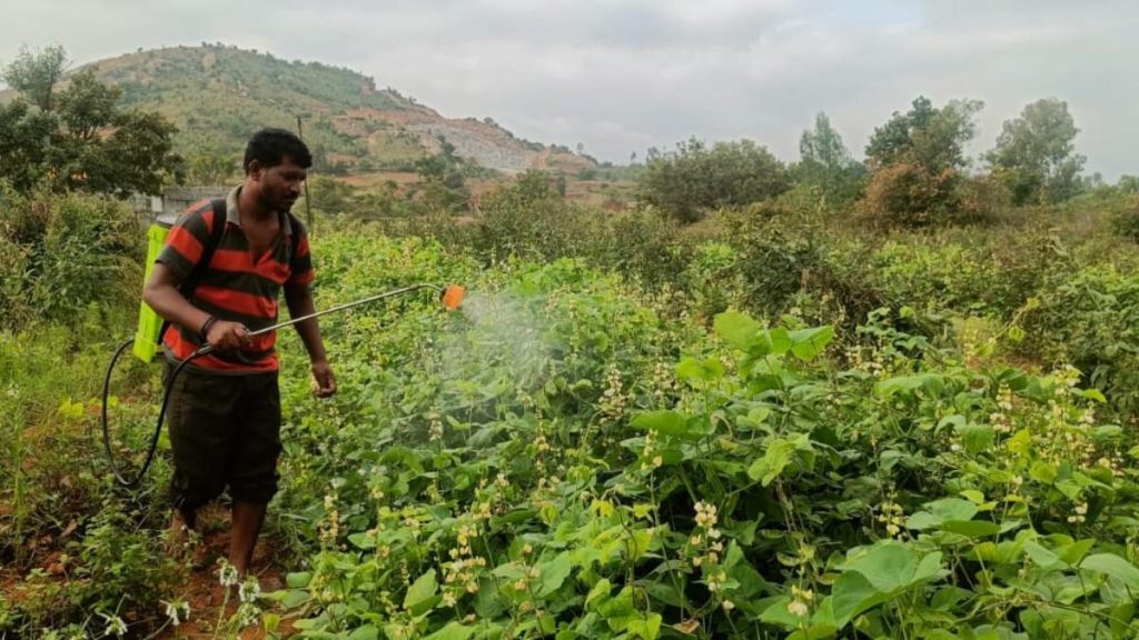 Chikkaballapur Farmers Explore Traditional Agricultural Knowledge d