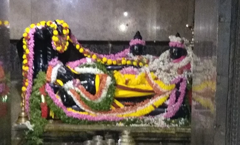 Sri Venkateshwara Swami Temple